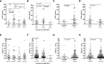 The antigen processing-associated transporter gene polymorphism: Role on gene and protein expression in HPV-infected pre-cancerous cervical lesion